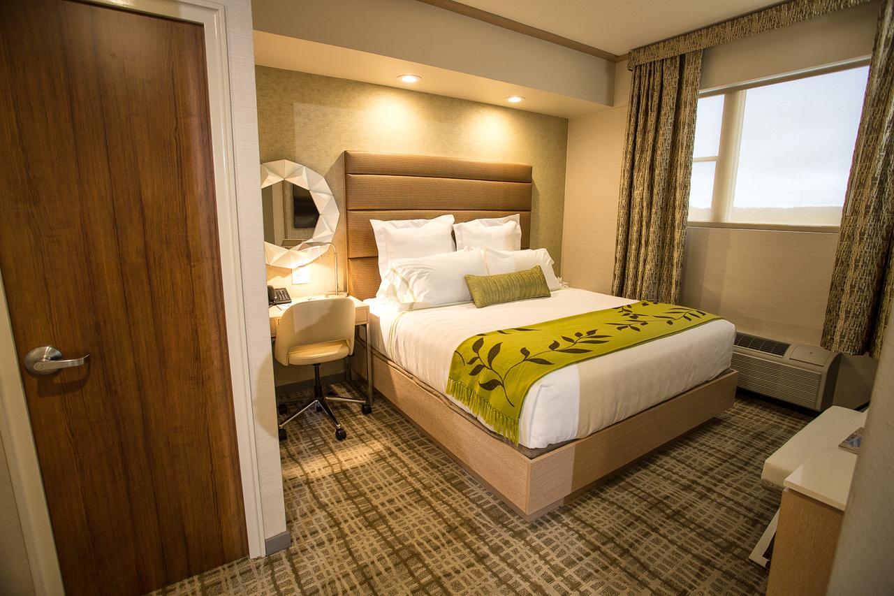Standard King Room,528811374:JPEG
